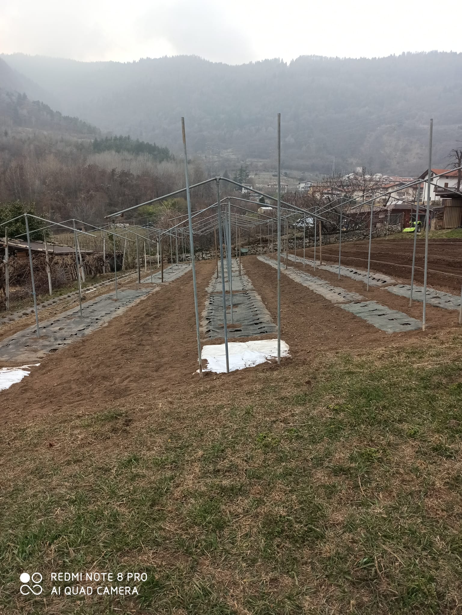 Cosa si può fare nell’orto in marzo? – Villa Rizzi