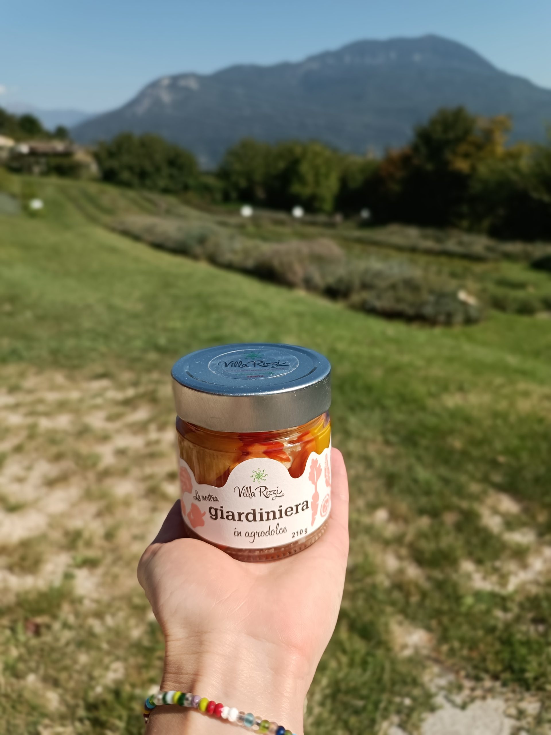 TUTTI AL LAVORO CON LA GIARDINIERA! – Villa Rizzi